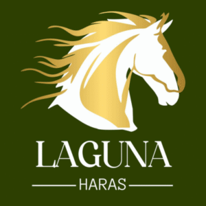 haras laguna